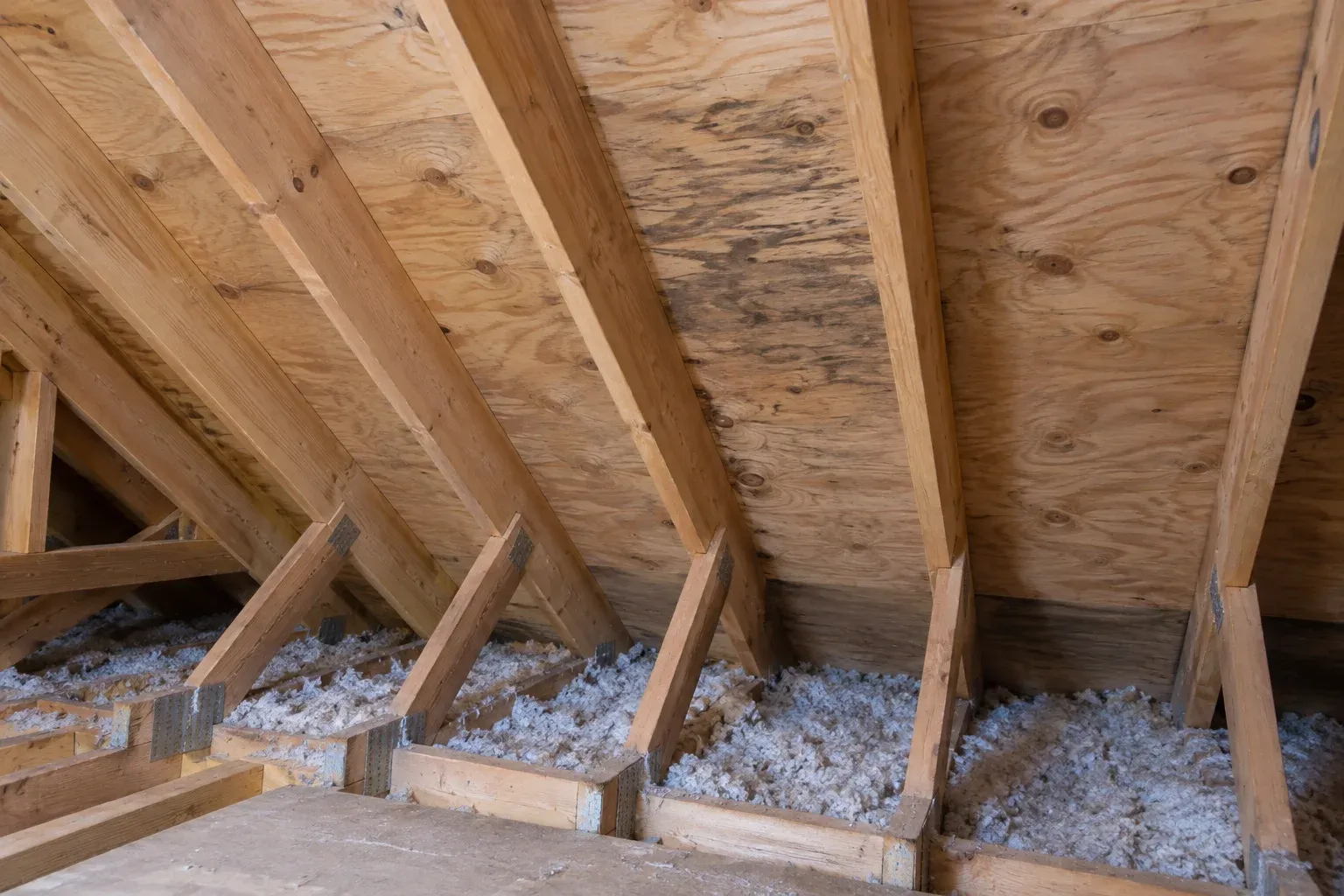 Attic rafters and roof decking with a localized discolored area.