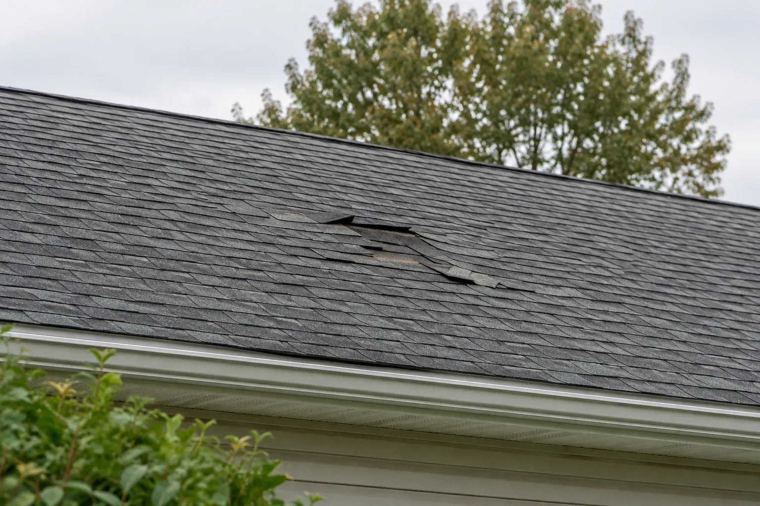 Several displaced shingles on an otherwise orderly asphalt-shingle roof, illustrating visible conditions to discuss when comparing repair quotes.