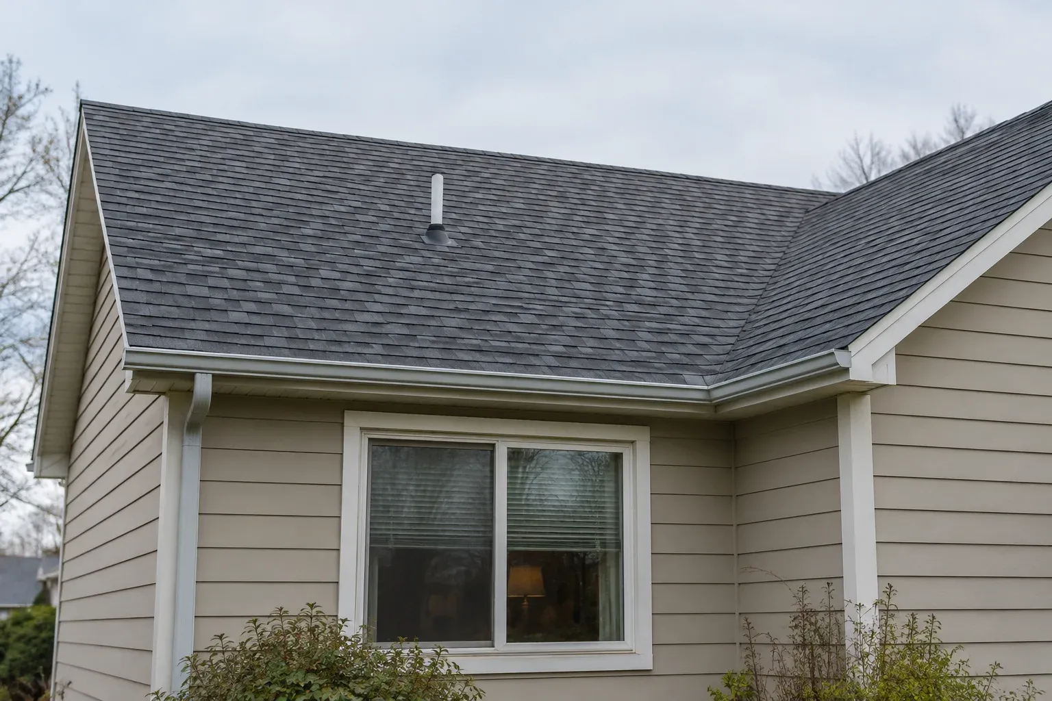 Ground-level view of a house with an asphalt-shingle roof above a living-room window.