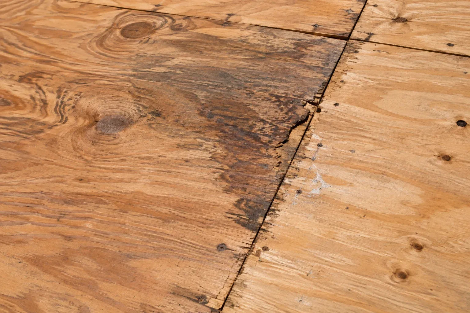 Illustrative close-up of moisture-stained roof decking beside sound plywood.
